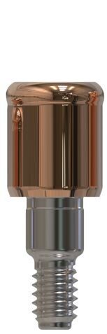 Nobel Biocare® | Nobel Replace® | Gerades Abutment | 427181