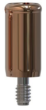 Nobel Biocare® | Brånemark System® | Gerades Abutment | 427194