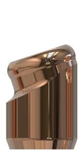 Nobel Biocare® | Brånemark System® | 18˚ abgewinkeltes Abutment | 427151