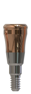 Neodent® | Grand Morse® | Gerades Abutment | 427202