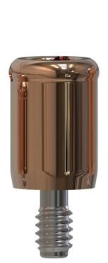 ZimVie® | 3i External Hex® | Gerades Abutment | 427022