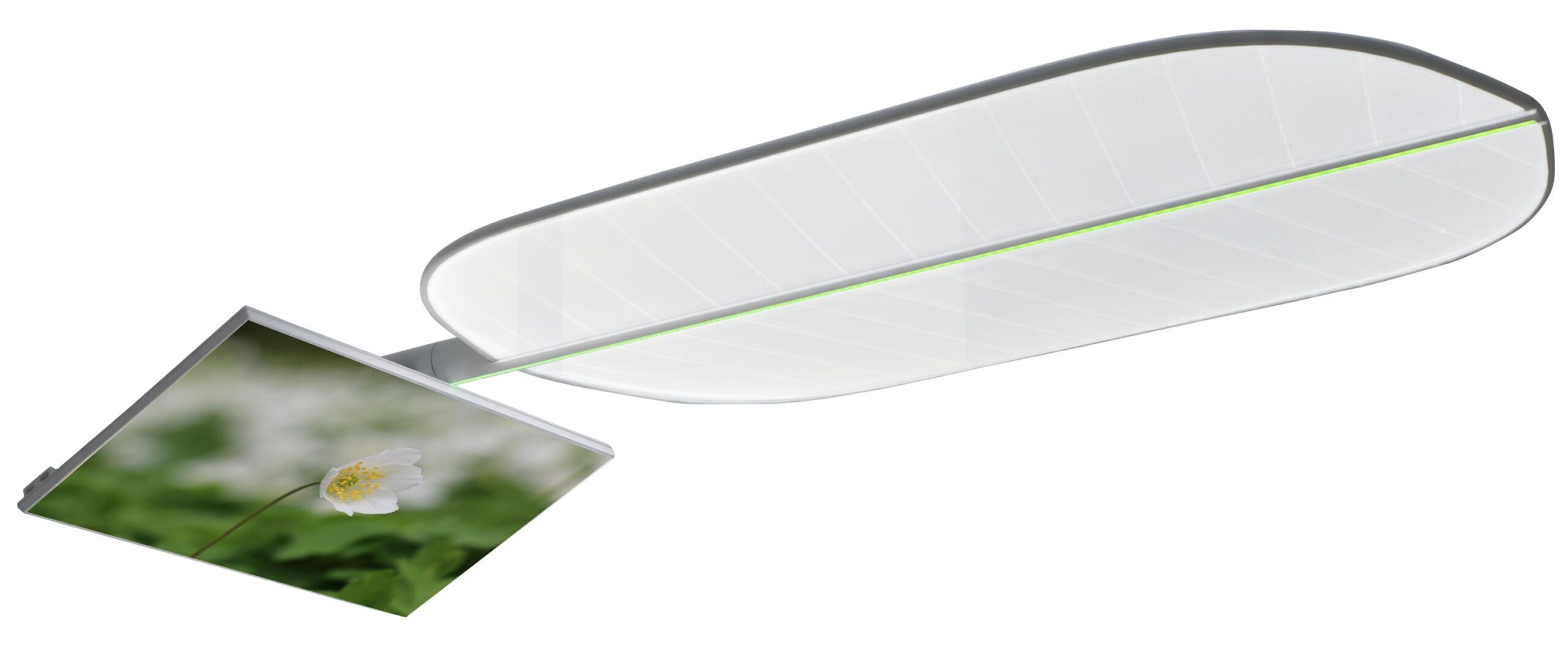D-Tec Leaf LED-Deckenleuchte | 406981