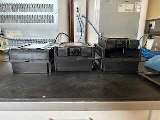 Primeprint Solution 3D-Drucker Sirona | 427833