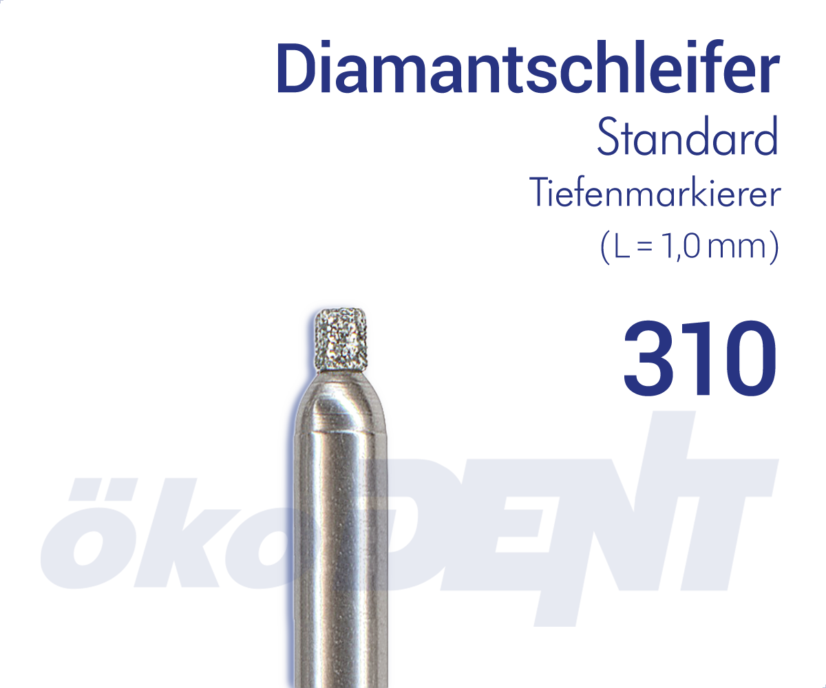 310009MFG – DIA, mittel, galv.M-bindung, Schaft Typ 3 – FG, Normal | 413066