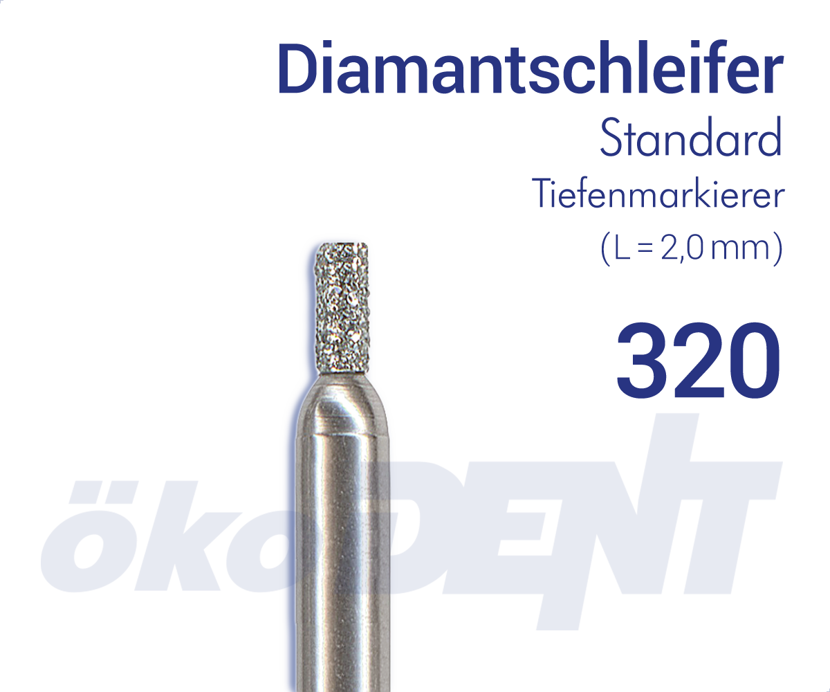 320009MFG – DIA, mittel, galv.M-bindung, Schaft Typ 3 – FG, Normal | 413070