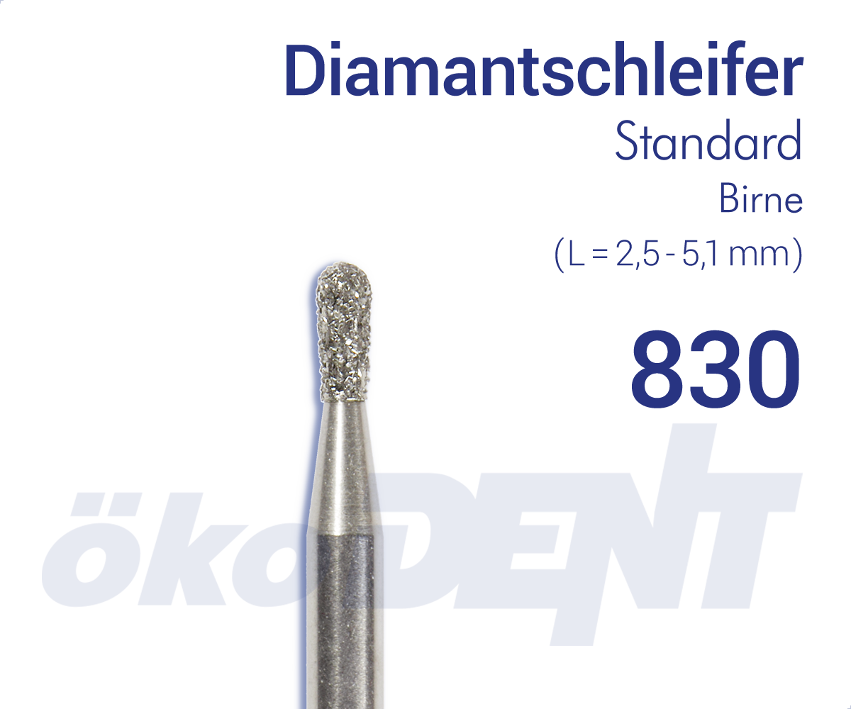 830014FFG – DIA, fein, galv. M-bindung, Schaft Typ 3 – FG, Normal | 418311