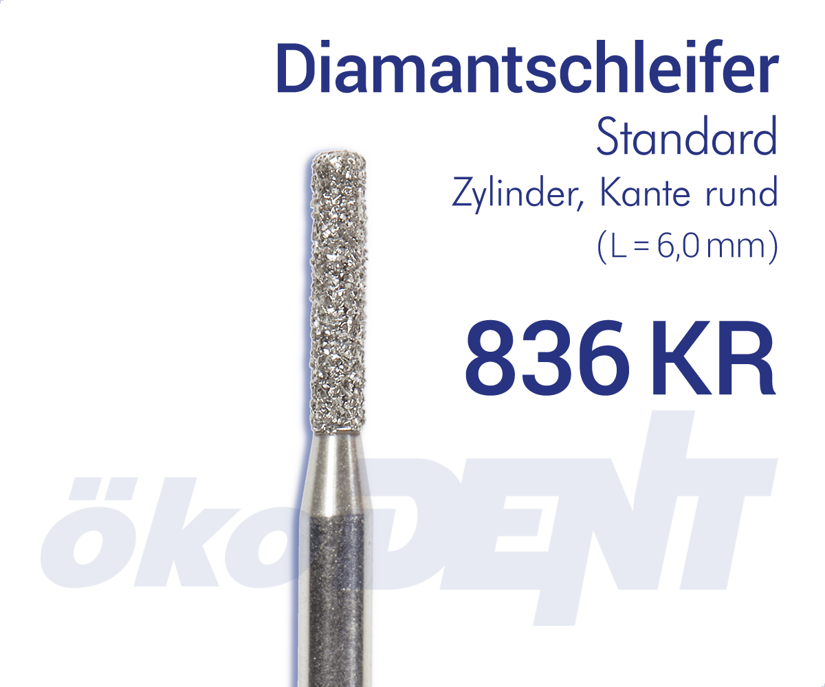836KR014SFFG – DIA, e. fein, galv.M-bindung, Schaft Typ 3 – FG, Normal | 418631