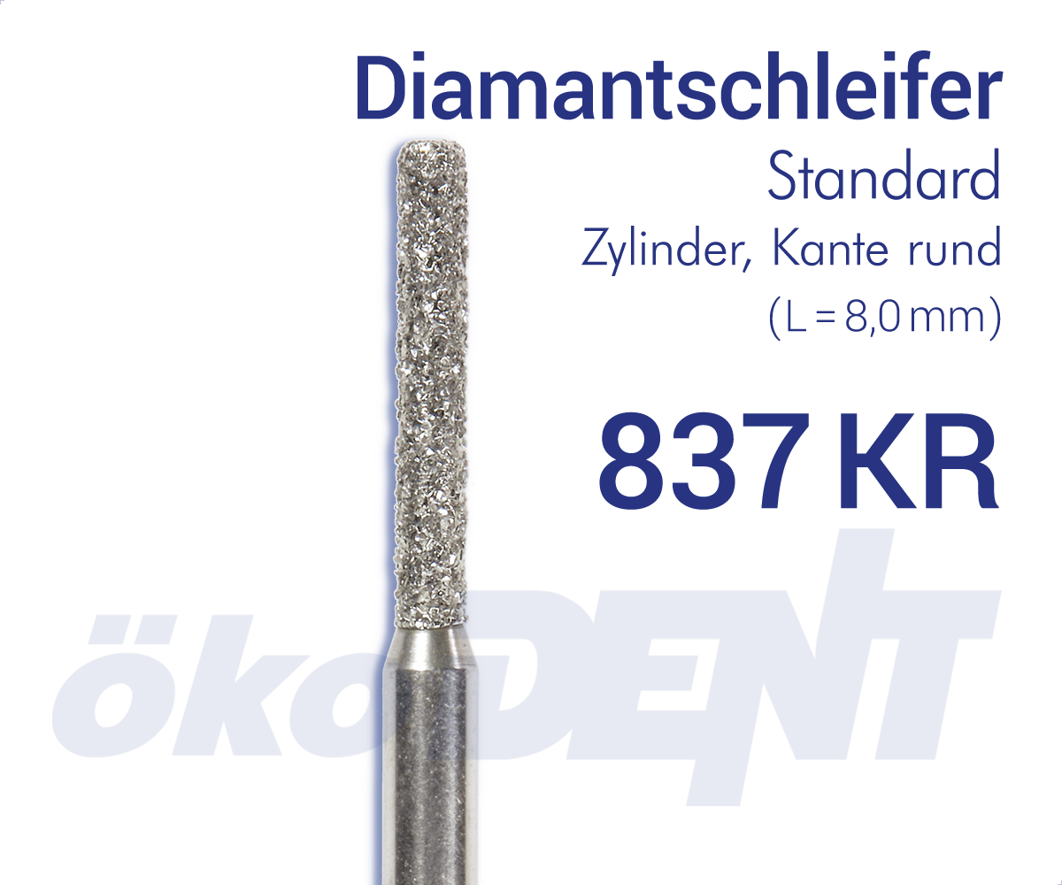 837KR014SFFG – DIA, e. fein, galv. M-bindung, Schaft Typ 3 – FG, Normal | 418719
