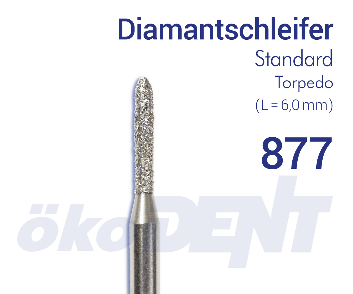 877010SFFG – DIA, e. fein, galv. M-bindung, Schaft Typ 3 – FG, Normal | 419979